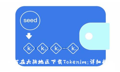 如何在大陆地区下载Tokenim：详细指南