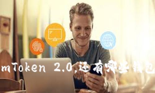 除了ImToken 2.0，还有哪些钱包选择？