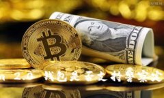 Tokenim 2.0 钱包是否支持警