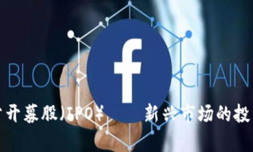 加密货币的首次公开募股（IPO）——新兴市场的投资机会与风险分析
