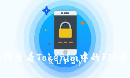 如何查看Tokenim中的FIL资产