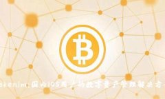 Tokenim：国内iOS用户的数字