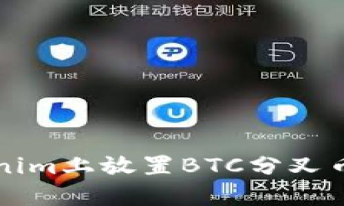 如何在Tokenim上放置BTC分叉币的详细指南