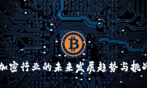 货币加密行业的未来发展趋势与挑战分析