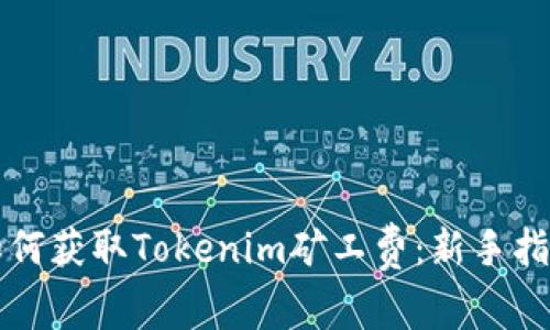 如何获取Tokenim矿工费：新手指南