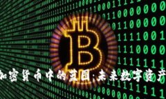 答案：ziaoti加密货币中的