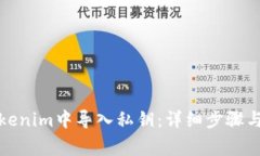 如何在Tokenim中导入私钥：