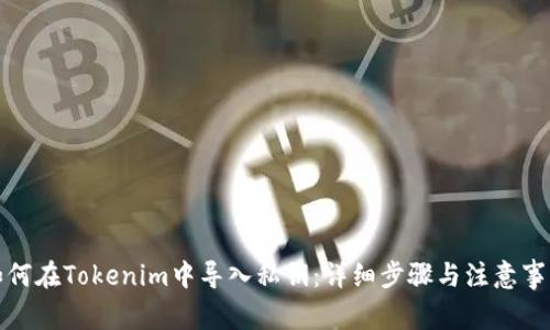 如何在Tokenim中导入私钥：详细步骤与注意事项