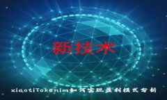 xiaotiTokenim如何实现盈利模