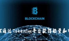 如何通过Tokenim平台获得能