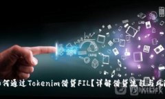 如何通过Tokenim借贷FIL？详