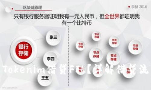 如何通过Tokenim借贷FIL？详解借贷流程与风险