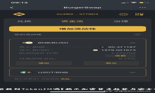 SHIB能提到TokenIM吗？揭示加密货币趋势与安全性分析