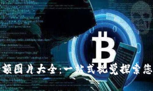 数字钱包余额图片大全：一站式视觉探索您的数字资产
