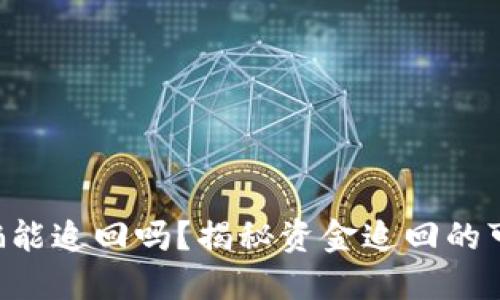 Tokenim被骗能追回吗？揭秘资金追回的可能性与措施